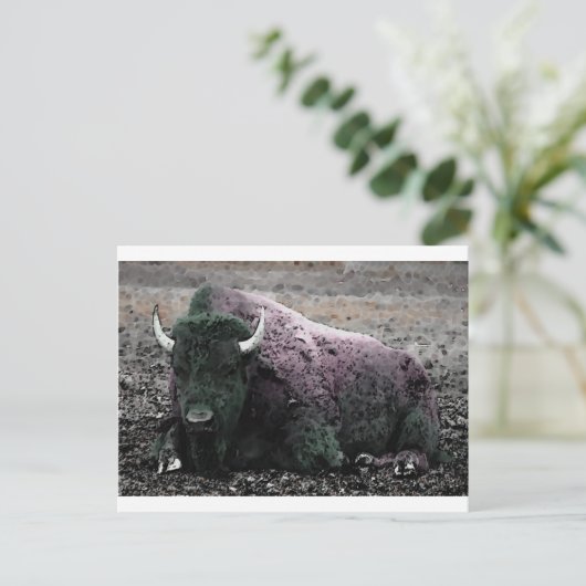 Carte Postale Bison (Debout devant)