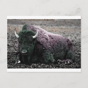 Carte Postale Bison