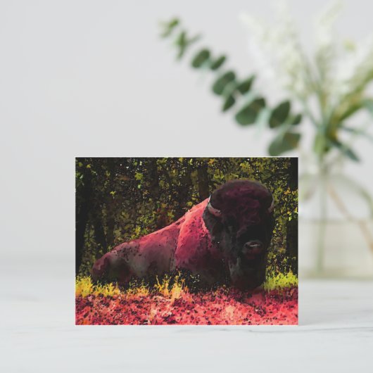 Carte Postale Bison (Debout devant)