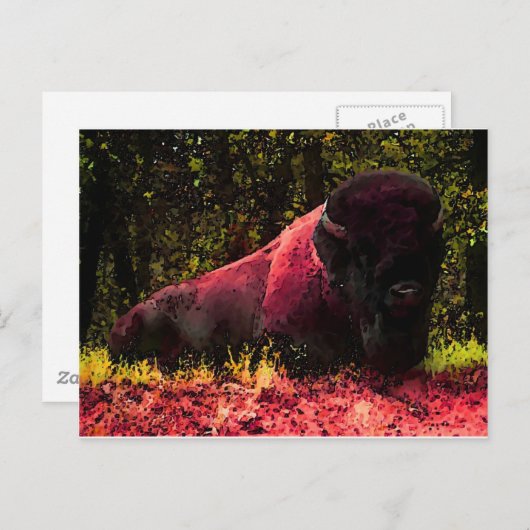 Carte Postale Bison (Devant / Derrière)