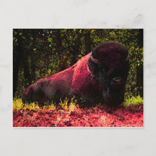 Carte Postale Bison
