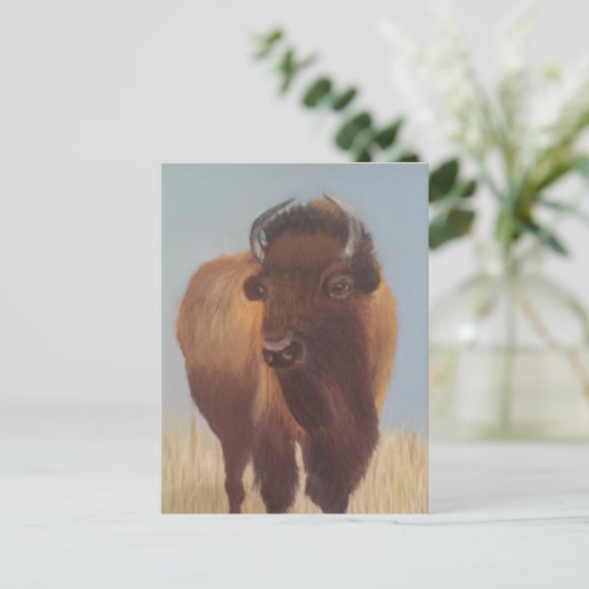 Carte Postale Bison (Debout devant)