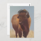 Carte Postale Bison (Devant / Derrière)