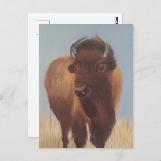 Carte Postale Bison (Devant / Derrière)
