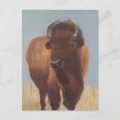 Carte Postale Bison (Devant)