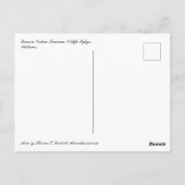 Carte postale Bison (Dos)