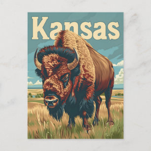 Carte Postale Bison américain du Kansas