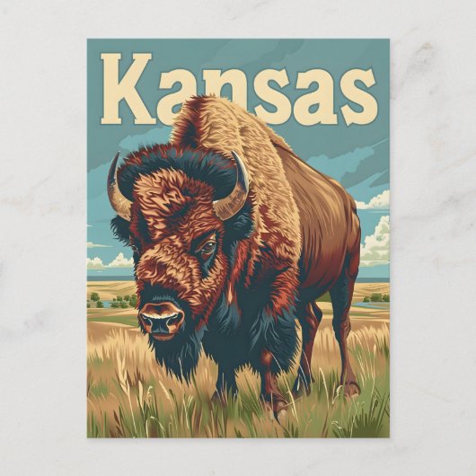 Carte Postale Bison américain du Kansas (Devant)