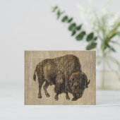 Carte Postale Bison Ancien (Debout devant)