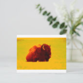 Carte Postale Bison assis (Debout devant)