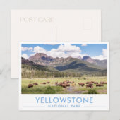 Carte Postale Bison at Yellowstone National Park Summer Mountain (Devant / Derrière)