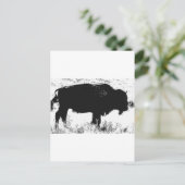 Carte Postale Bison - Buffalo (Debout devant)
