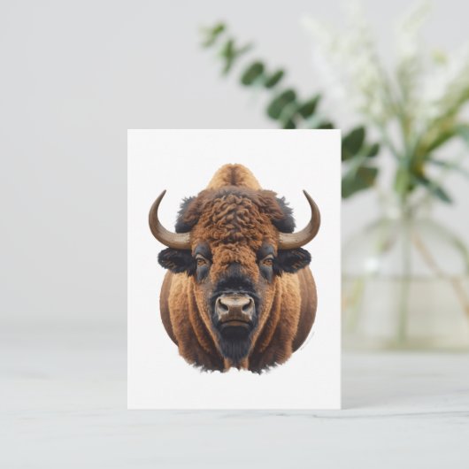 Carte Postale Bison / Buffalo (Debout devant)