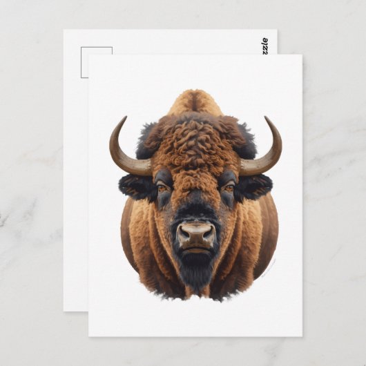 Carte Postale Bison / Buffalo (Devant / Derrière)