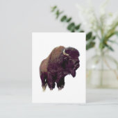 Carte Postale Bison Buffalo  (Debout devant)