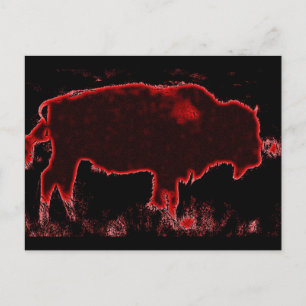 Carte Postale Bison / Buffle
