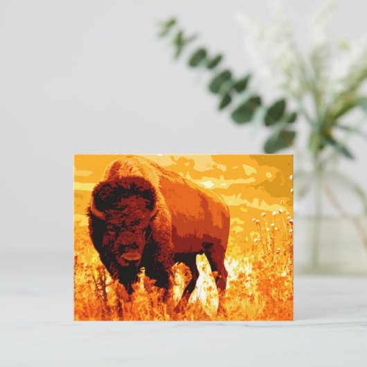 Carte Postale Bison / Buffle (Debout devant)