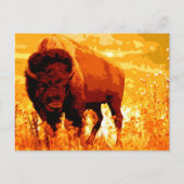 Carte Postale Bison / Buffle (Devant)