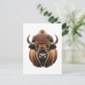 Carte Postale Bison / Buffle (Debout devant)