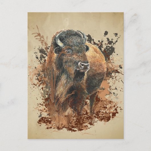 Carte Postale Bison Buffle Animal Faune Nature Aquarelle Wo (Devant)