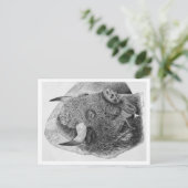 Carte Postale Bison d'Amérique (Debout devant)