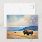 Carte Postale Bison dans la prairie (Devant / Derrière)