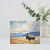 Carte Postale Bison dans la prairie (Debout devant)