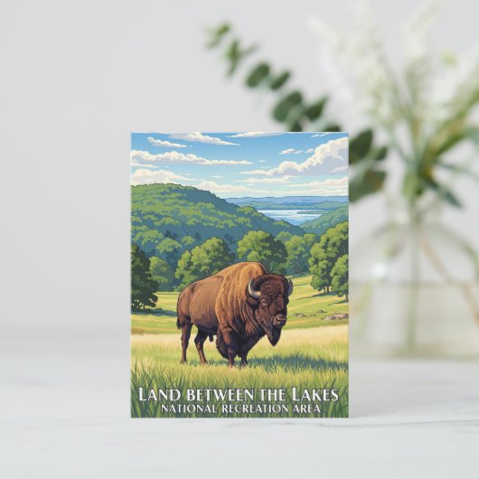 Carte Postale Bison dans la terre entre les lacs Kentucky (Debout devant)