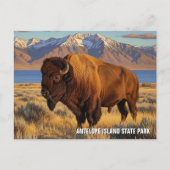 Carte Postale Bison dans le parc national d'Antelope Island dans (Devant)