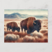 Carte Postale Bison d'aquarelle sur les plaines (Devant)