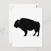 Carte Postale Bison de Buffalo Art noir et blanc (Devant / Derrière)