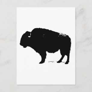 Carte Postale Bison de Buffalo Art noir et blanc