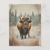 Carte Postale Bison de Vintage (Devant)