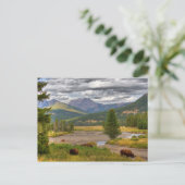 Carte Postale Bison de Yellowstone (Debout devant)