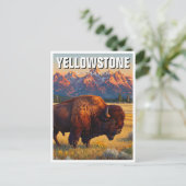 Carte Postale Bison du parc national de Yellowstone (Debout devant)