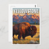 Carte Postale Bison du parc national de Yellowstone (Devant / Derrière)