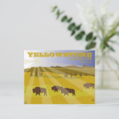 Carte Postale Bison du parc national de Yellowstone, Wyoming (Debout devant)