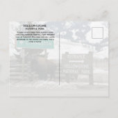 Carte Postale BIson, Entrée Yellowstone, Gardiner, MT (Dos)