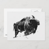 Carte Postale Bison noir et blanc / Buffle (Devant / Derrière)