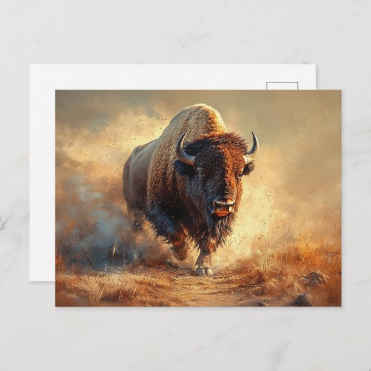 Carte Postale Bison sauvage (Devant / Derrière)