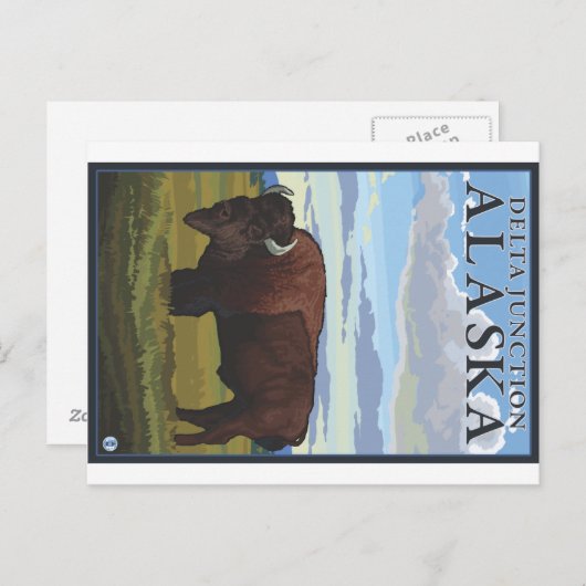 Carte Postale Bison Scene - Delta Junction, Alaska (Devant / Derrière)