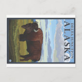 Carte Postale Bison Scene - Delta Junction, Alaska (Devant)