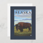Carte Postale Bison Scene - Delta Junction, Alaska (Devant / Derrière)