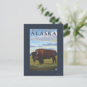 Carte Postale Bison Scene - Delta Junction, Alaska (Debout devant)