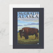 Carte Postale Bison Scene - McGrath, Alaska (Devant / Derrière)