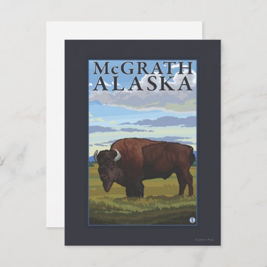 Carte Postale Bison Scene - McGrath, Alaska (Devant / Derrière)