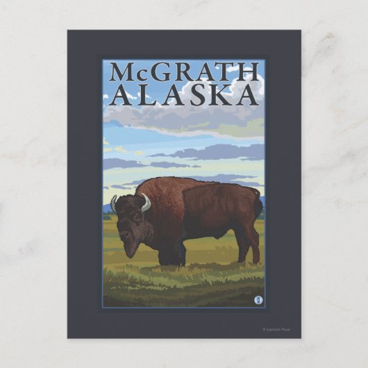 Carte Postale Bison Scene - McGrath, Alaska (Devant)