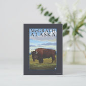 Carte Postale Bison Scene - McGrath, Alaska (Debout devant)