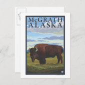 Carte Postale Bison Scene - McGrath, Alaska (Devant / Derrière)
