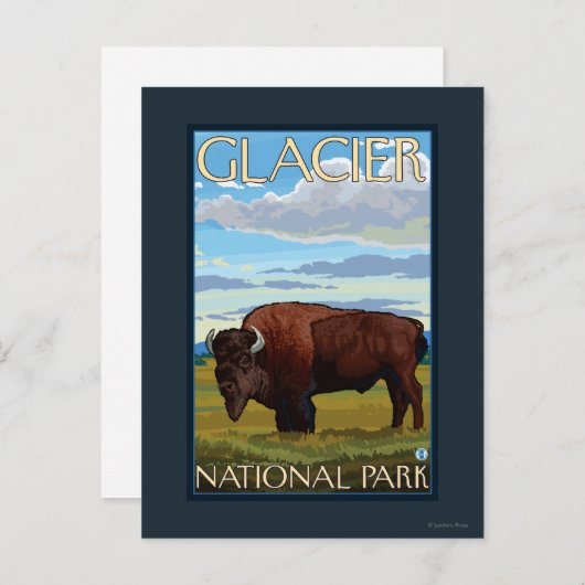 Carte Postale Bison Scene - Parc national des Glaciers, MT (Devant / Derrière)